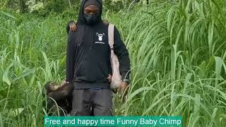 CHIMPANZEE Should Be Return To The Forest