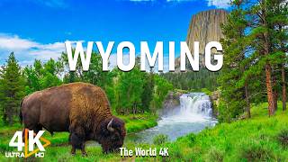 Wyoming 4K UHD – Springtime in Yellowstone, Grand Teton Peaks & Pristine Wilderness screenshot 5