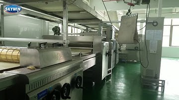 SKYWIN 2018 Automatic Cracker Hard and Soft Biscuit Production Line in China