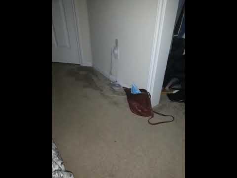 Google Home Got A Stroke Googlehomestroke