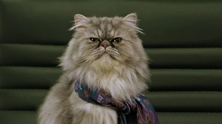 The Committee Announces Catabilities