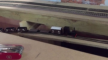 009 narrow gauge section