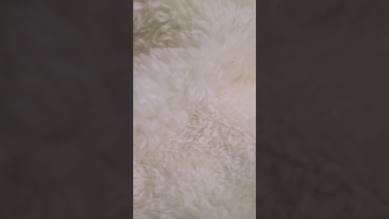 الكاس فااااااااااااااض  يا  امهات .