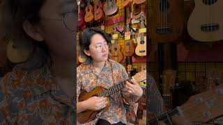 【これは長く使える相棒です