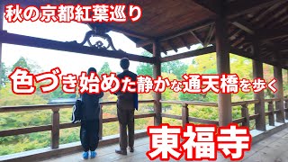 【秋の京都紅葉巡り】10/31日 色付き始めた「東福寺の通天橋」を歩く Kyoto Japan Walk 4K