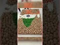 #shorts Republic Day special whatsapp status||National anthem...