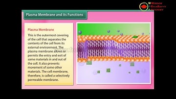 Chapter 8: Cell – Structure and Functions Class 8th Science