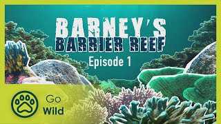 Decorator crab to the sneaky snake eel - Barneys Barrier Reef 1/20 - Go Wild screenshot 4