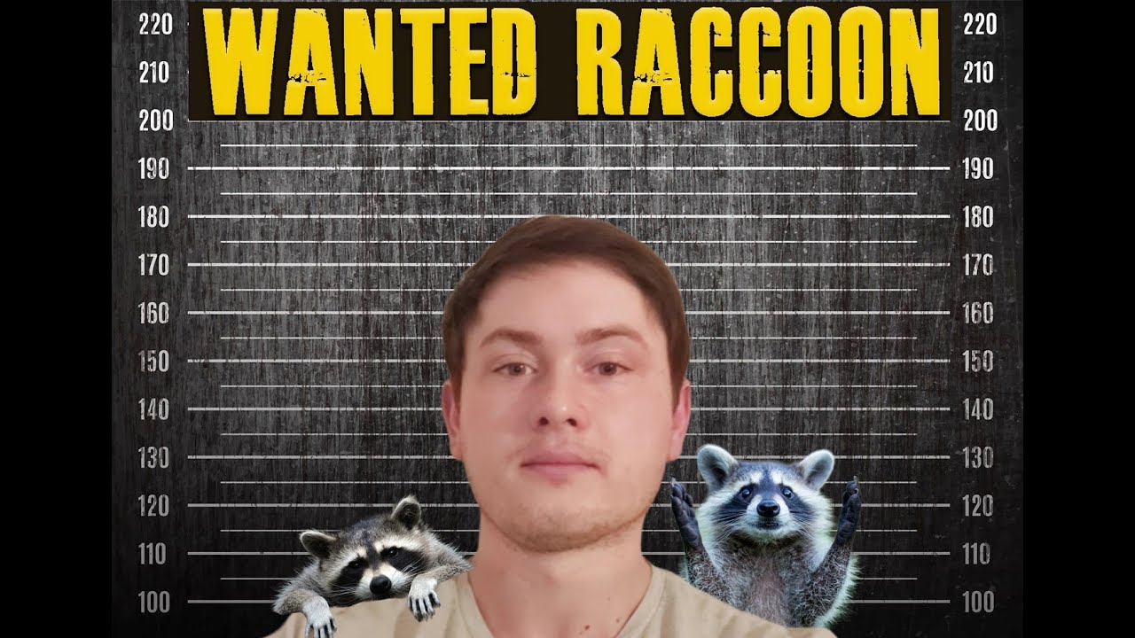 WANTED RACCOON - ЛЕСНАЯ БАНДА В ДЕЛЕ #2 ПЕРЕПРОХОЖДЕНИЕ - YouTube
