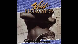 🎧WILD HORSES: Bareback (1991 - Full Album)