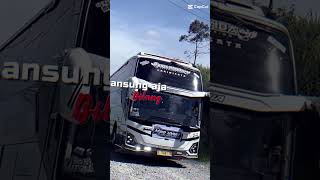 Kids Panda, Ratu Arjuna, Bintang Sjm Trans, JJ Muka Cemburu #busmania