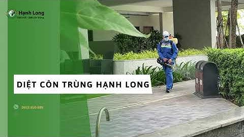 Công ty dịch vụ diệt côn trùng uy tín Hạnh Long
