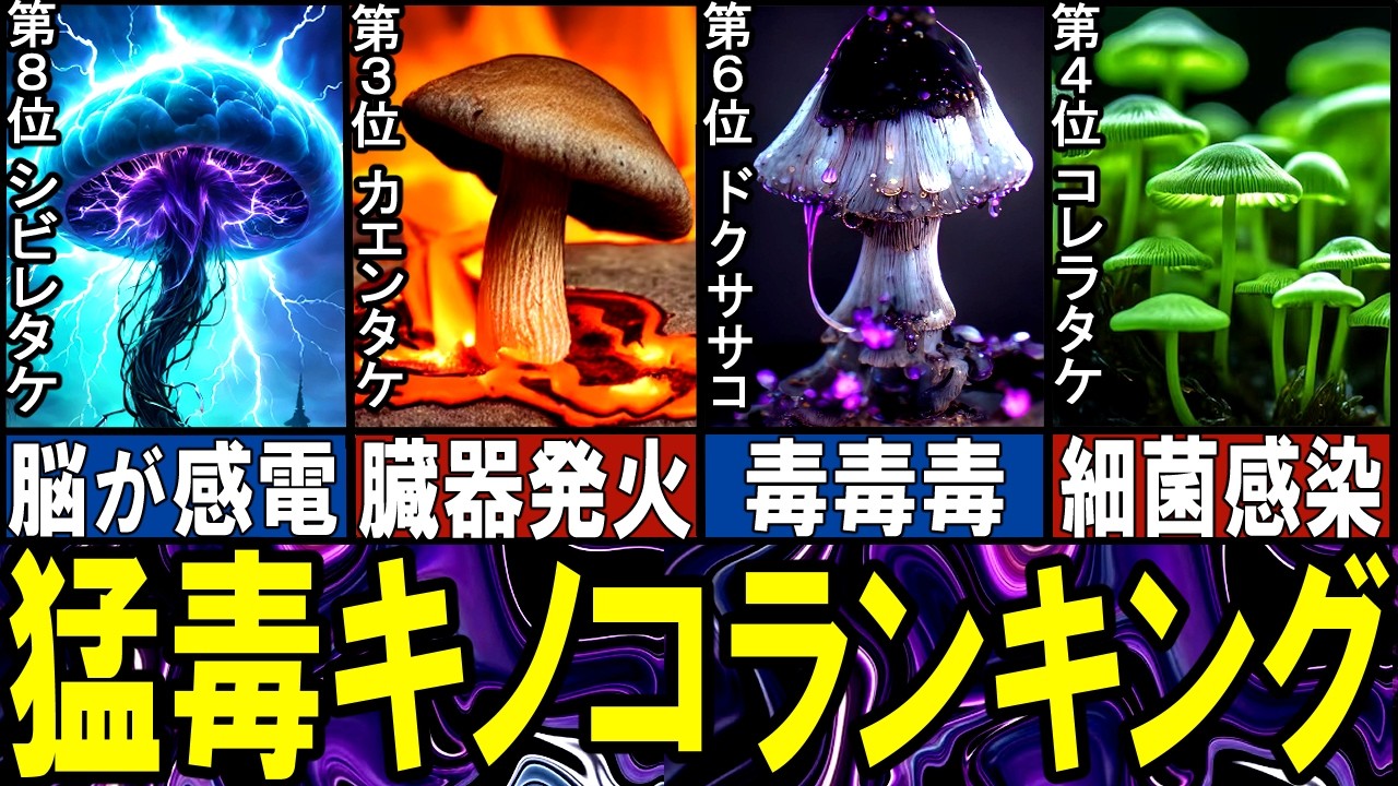 【閲覧注意】最凶の猛毒キノコ TOP10【ゆっくり解説】【総集編】
