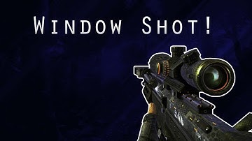 Insane Window Shot | Hitmarker then Hit!