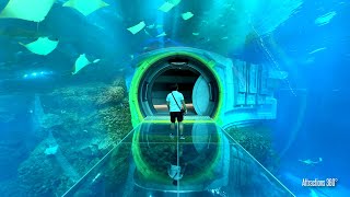 ENORMOUS SeaWorld INDOOR Theme Park! Tour of the World's Largest Indoor Marine-Life Theme Park by Attractions 360° 126,306 views 4 weeks ago 34 minutes