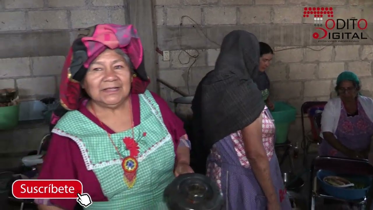 STA MA TINDU 2024, LABRANZA DE CIROS.