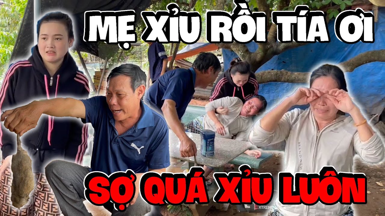 Cả Nhà Ba Báo Sợ Chuột Và Cái Kết Xỉu Lên Xỉu Xuống | Anh Ba Báo