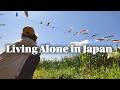Alone in Japan 🇯🇵 | Spring Festival + Oysters& River Fish + Home Cooking