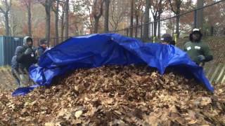 Nyccp Leaf Crunch 2014