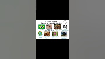 Thumbnail of National Symbols Of Brazil #nationalsymbol #brazil