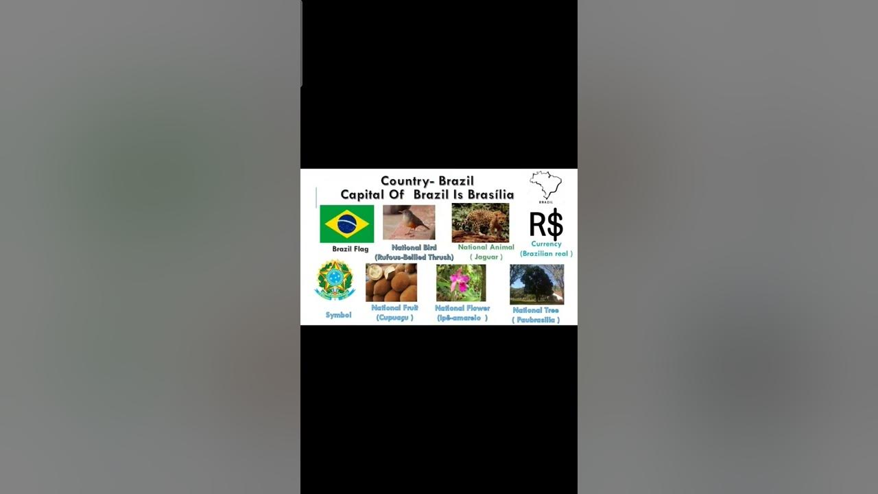 National Symbols Of Brazil #nationalsymbol #brazil National Symbols Of Brazil #nationalsymbol #brazil
