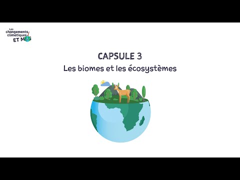 Vidéo: Quelle est la différence entre une zone climatique et un biome ?