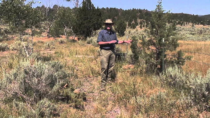 Sage Grouse Habitat Improvement in Southeast ID (HD)