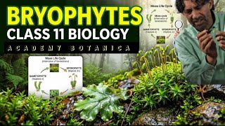 Bryophytes Class 11th Dated 4=5= 2o26 By Mohd Yousuf Botany Sir 