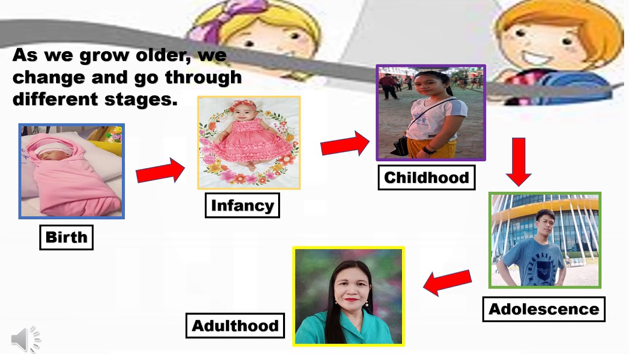 Stages in the Life Cycle of Humans / Science 4 Second Quarter Week 4