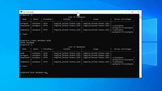 postgresql installation and getting started on windows