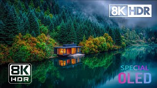 Best 8K HDR Videos – Amazing Dolby Vision 60FPS (8K / 4K TV)