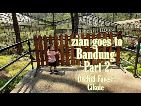 Wisata Anggrek Di Orchid Forest Bandung