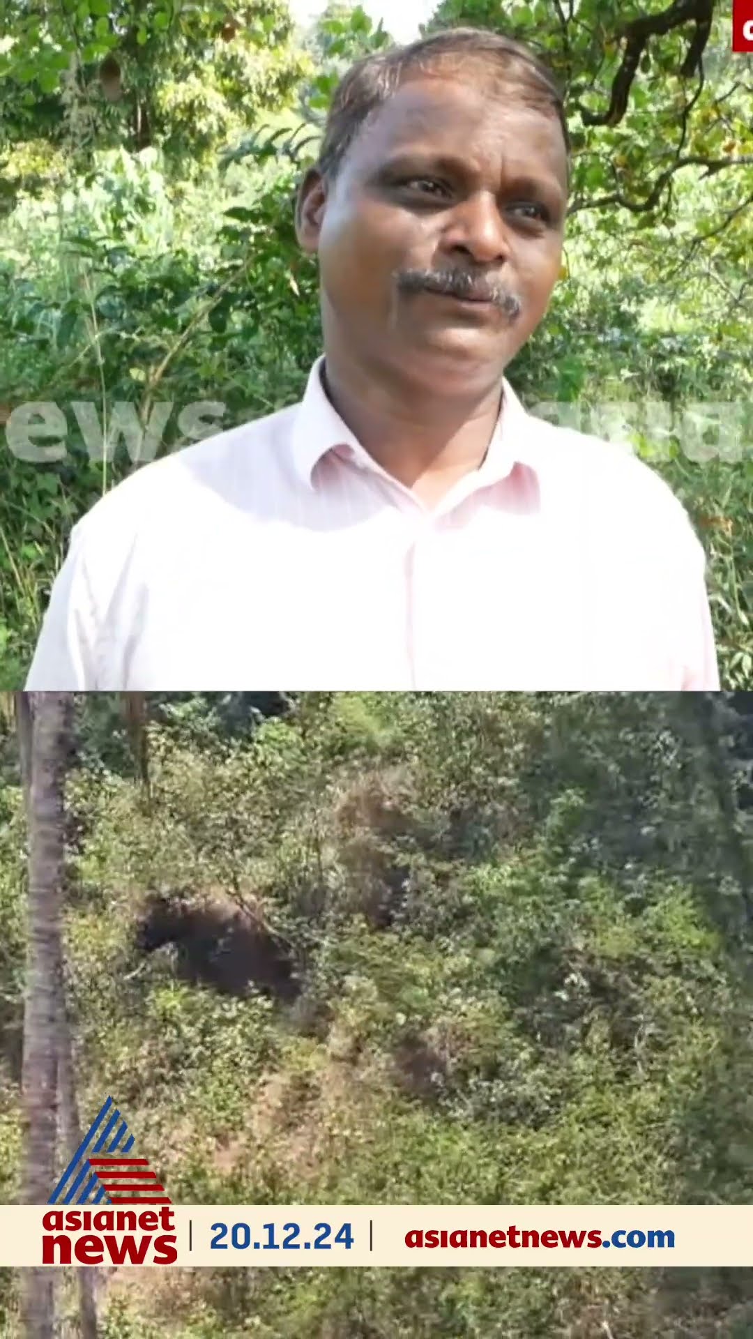 ആറളം ഫാമിൽ കള്ള് ചെത്ത് തൊഴിലാളി കാട്ടാനയെ പേടിച്ച് തെങ്ങിന് മുകളിൽ കയറി, കുടുങ്ങിയത് അരമണിക്കൂറോളം