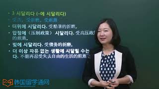 韩语学习 Learn Korean 고급단어 10 TOPIK 高级词汇 动词10 (-토픽 고급단어 동사)