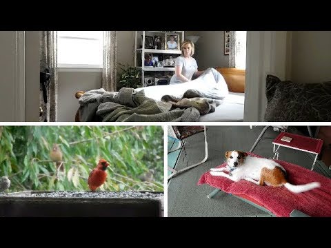 vlogs in spanish Thursday Vlog 9/15/17