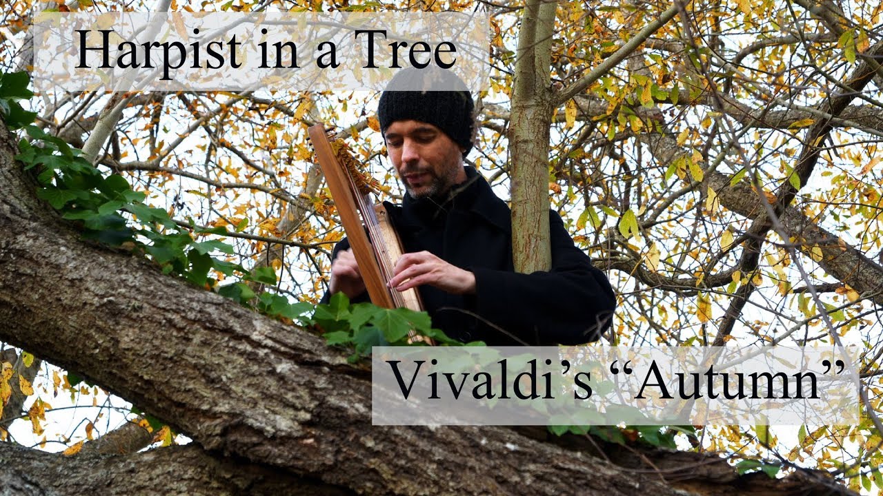 Vivaldi's Autumn - Harpist in a Tree