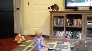 Chat With Cat by Merkley Family 25,186 views 8 years ago 1 minute, 36 seconds