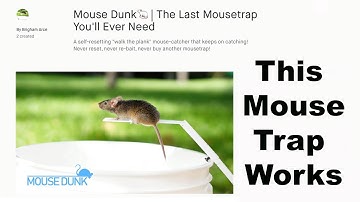 The Mouse Dunk Mouse Trap Invented By A Youtube Viewer Works Well. Mousetrap Monday