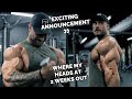 SHREDDED ARM WORKOUT | MENTAL UPDATE PREP EDITION