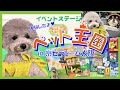 【犬イベント】ペット王国2022