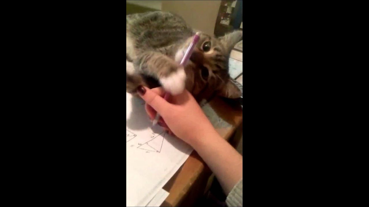 My parents wont let me do my homework