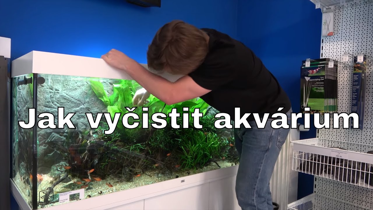 Jak často Odkalovat?