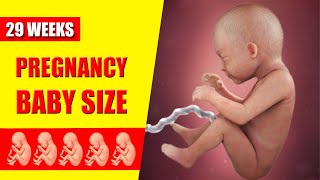 29 Weeks Pregnant Baby Position – Baby Moving and Symptoms