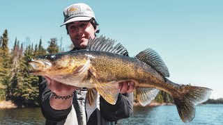 Scientific Secrets for PostSpawn Walleye Fishing