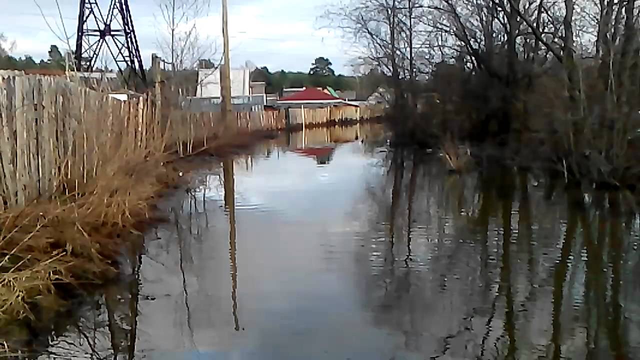 сады шахтер. снт шахтер михнево. снт шахтер новомосковск. коллективный сад 23 каменск-уральский. 20 сады краснотурьинск.