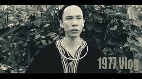 Những câu nói cà khịa bá đạo làm nên tên tuổi của 1977 vlog