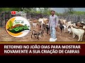 RETORNEI NO JOÃO DIAS PARA MOSTRAR NOVAMENTE A SUA CRIAÇÃO DE CABRAS