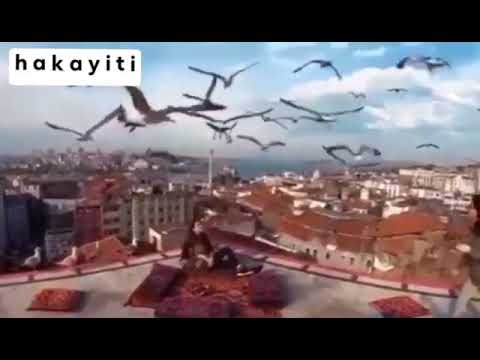 رسالة من كاظم الساهر اذا القى الزمان عليك شر ا