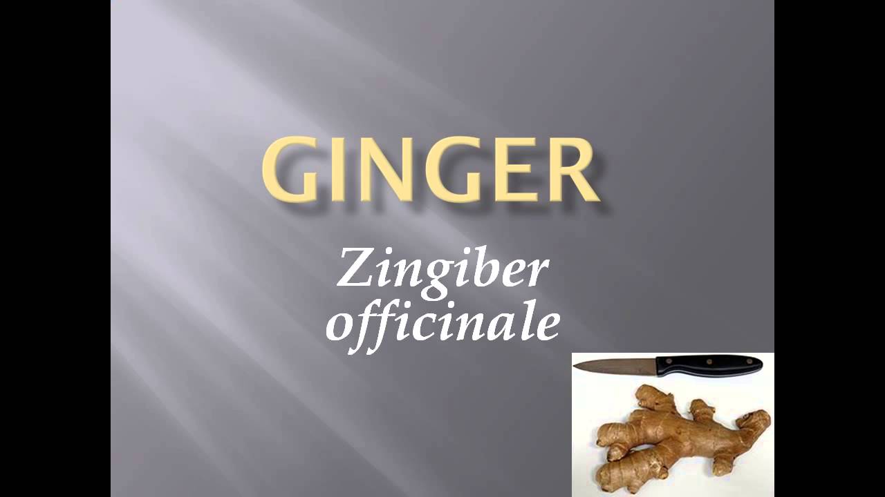 Pronunciation, Picture and Scientific name of vegetable GINGER YouTube