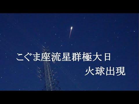 にゃんた - YouTube